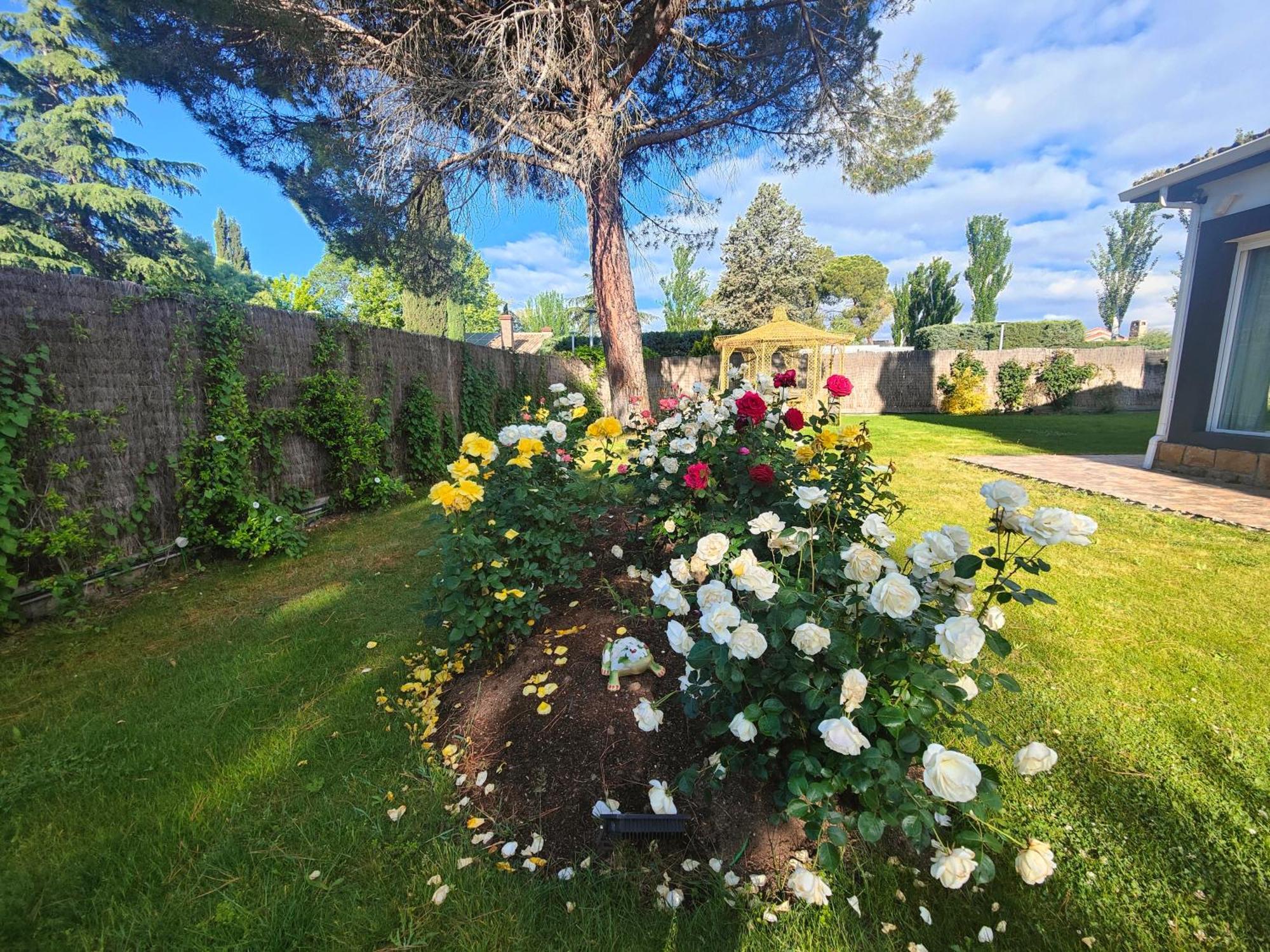 Chalet Con Piscina Y Jacuzzi En Madrid Alquila Habitaciones Algete エクステリア 写真
